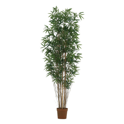 Planta artificial Bambú - 210cm maceta 24cm
