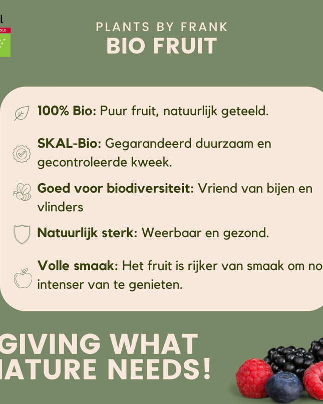 Mix di piante da frutto BIO 3 pezzi - Fico/Kiwi/Mora