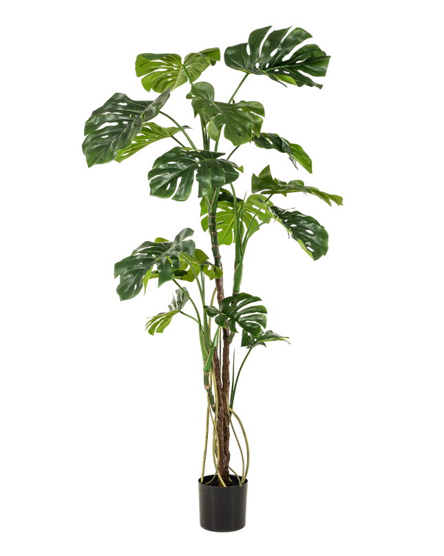 Kunstplant- Monstera - Gatenplant - ↕ 180cm