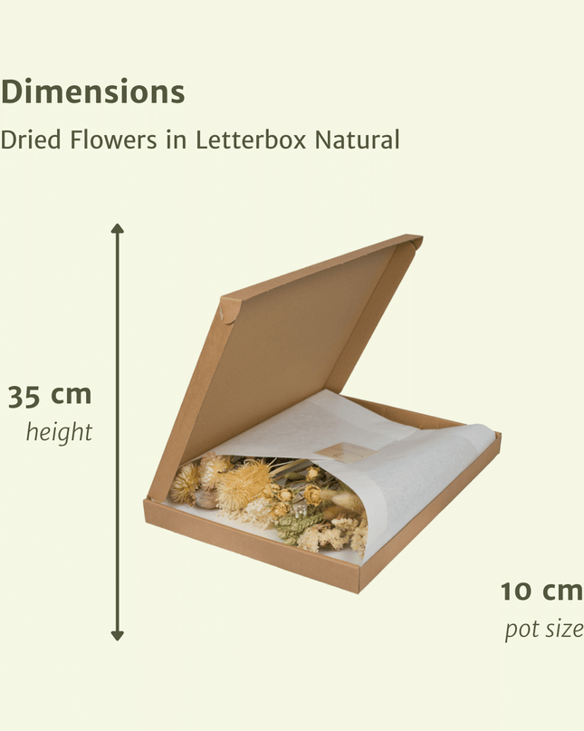 Droogbloemen in Letterbox - Natural
