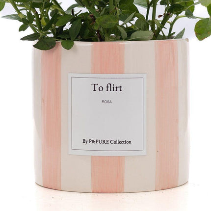 Rosa Light Pink Gift "To Flirt" met wenskaart - Ø12cm - ↕30cm