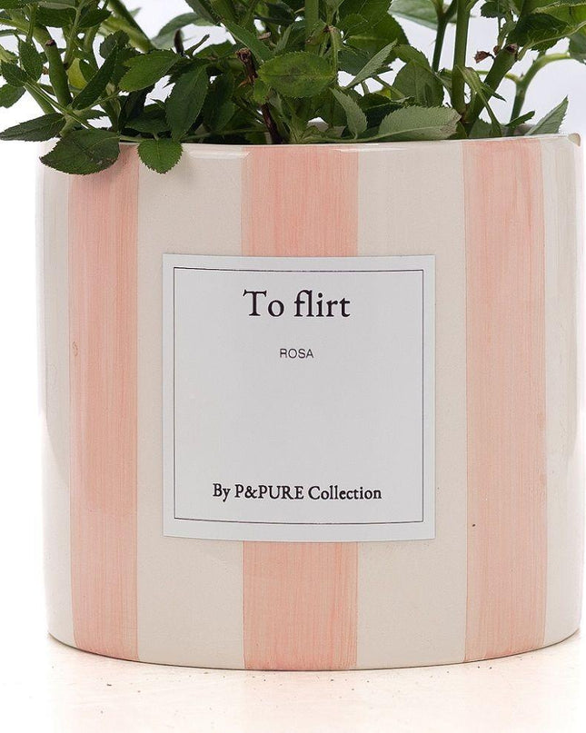 Rosa Light Pink Gift "To Flirt" met wenskaart - Ø12cm - ↕30cm
