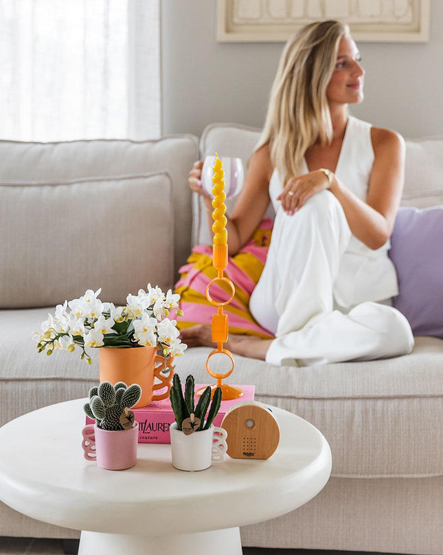 Scatola musicale Melodiez - Legno