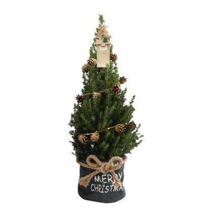 Kleine Kerstboom in Xmas Bag blauw + Pine cone lichtjes incl. batterijen- 70 cm - Picea Glauca Conica -