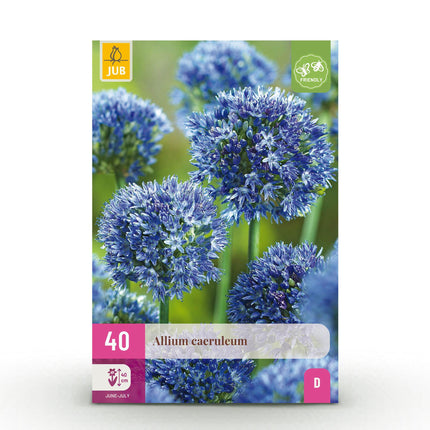 Bloembollen - Allium Caeruleum - Kleur Blauw - 40 stuks - Bolmaat 4/5 - XXL Pack