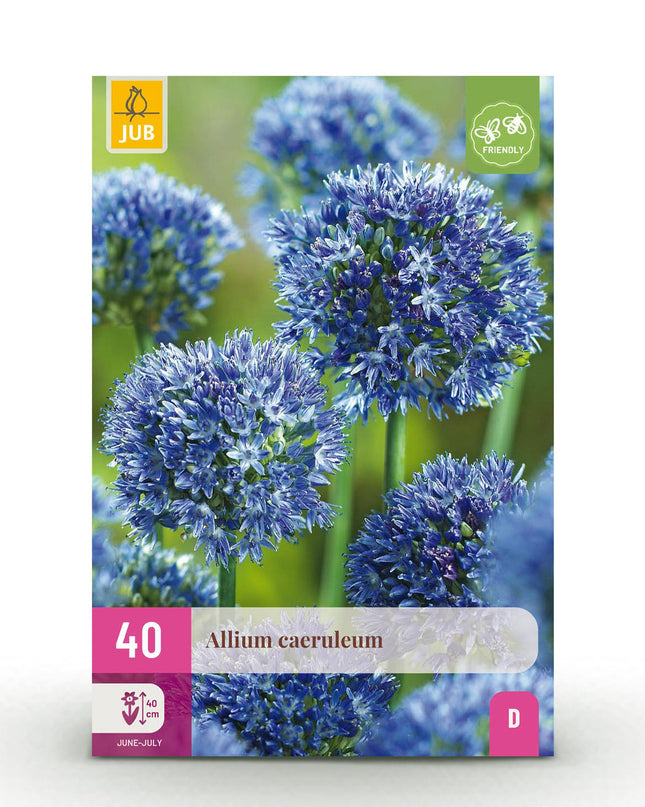 Bloembollen - Allium Caeruleum - Kleur Blauw - 40 stuks - Bolmaat 4/5 - XXL Pack