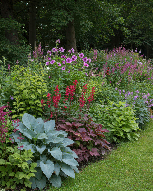 Borderpakket - Schaduw - 24 Vaste planten - 3 m2 - Diversen kleuren - Weinig Onderhoud - Pot 11cm