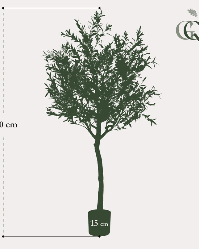 Kunst Olijfboom -  Olea europaea - Olijfboom - ↕ 180 cm