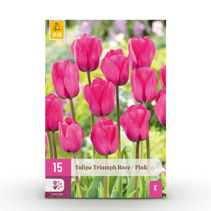 Bloembollen - Tulp Triumph Pink - Kleur Roze - 15 stuks - Bolmaat 11/12 - XXL Pack