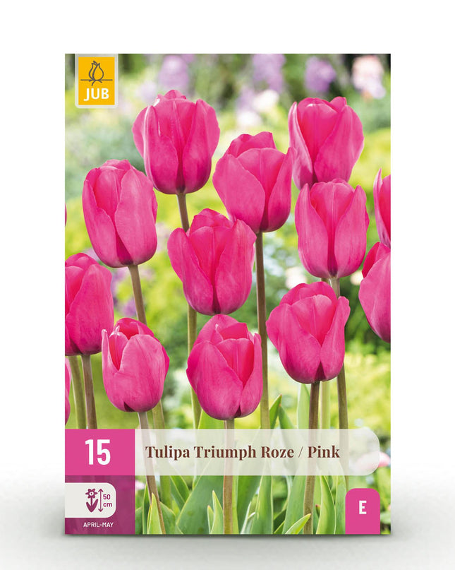 Bloembollen - Tulp Triumph Pink - Kleur Roze - 15 stuks - Bolmaat 11/12 - XXL Pack