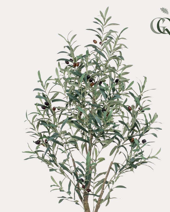 Kunst Olijfboom -  Olea europaea - Olijfboom - ↕ 140 cm