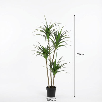 Planta artificial Drácena - 165cm