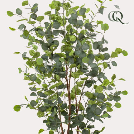 Kunstplant - Eucalyptus - Blauwe Gomboom  - ↕ 140 cm