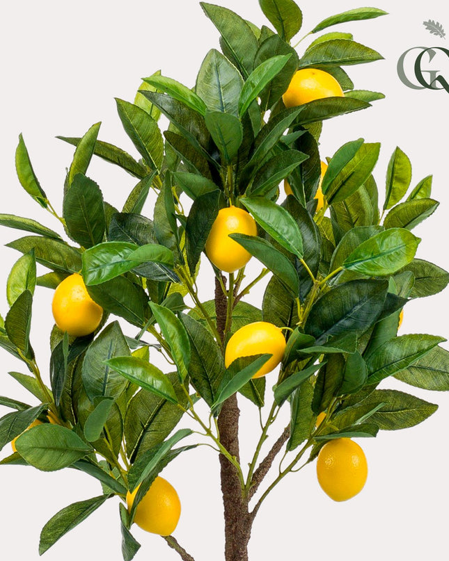 Kunstplant - Citrus Limonia - Citroenboom - ↕ 75 cm