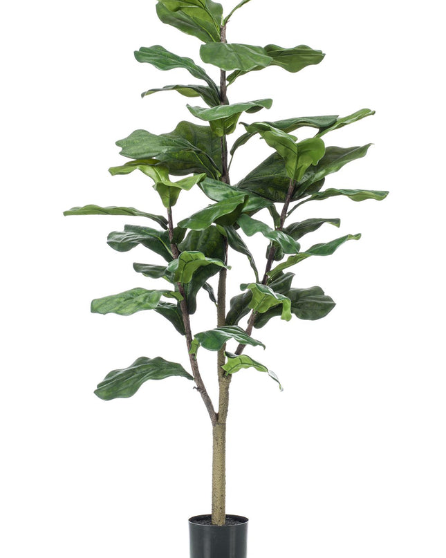 Kunstplant - Ficus Lyrata - Tabaksplant - ↕ 120 cm