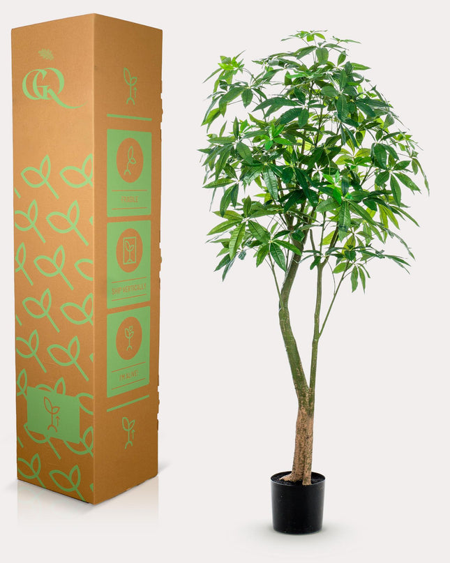 Kunstplant - Pachira Aquatica - Geldboom - ↕ 180 cm