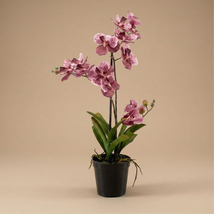 Pianta artificiale Orchidea rosa antico in vaso - 60 cm