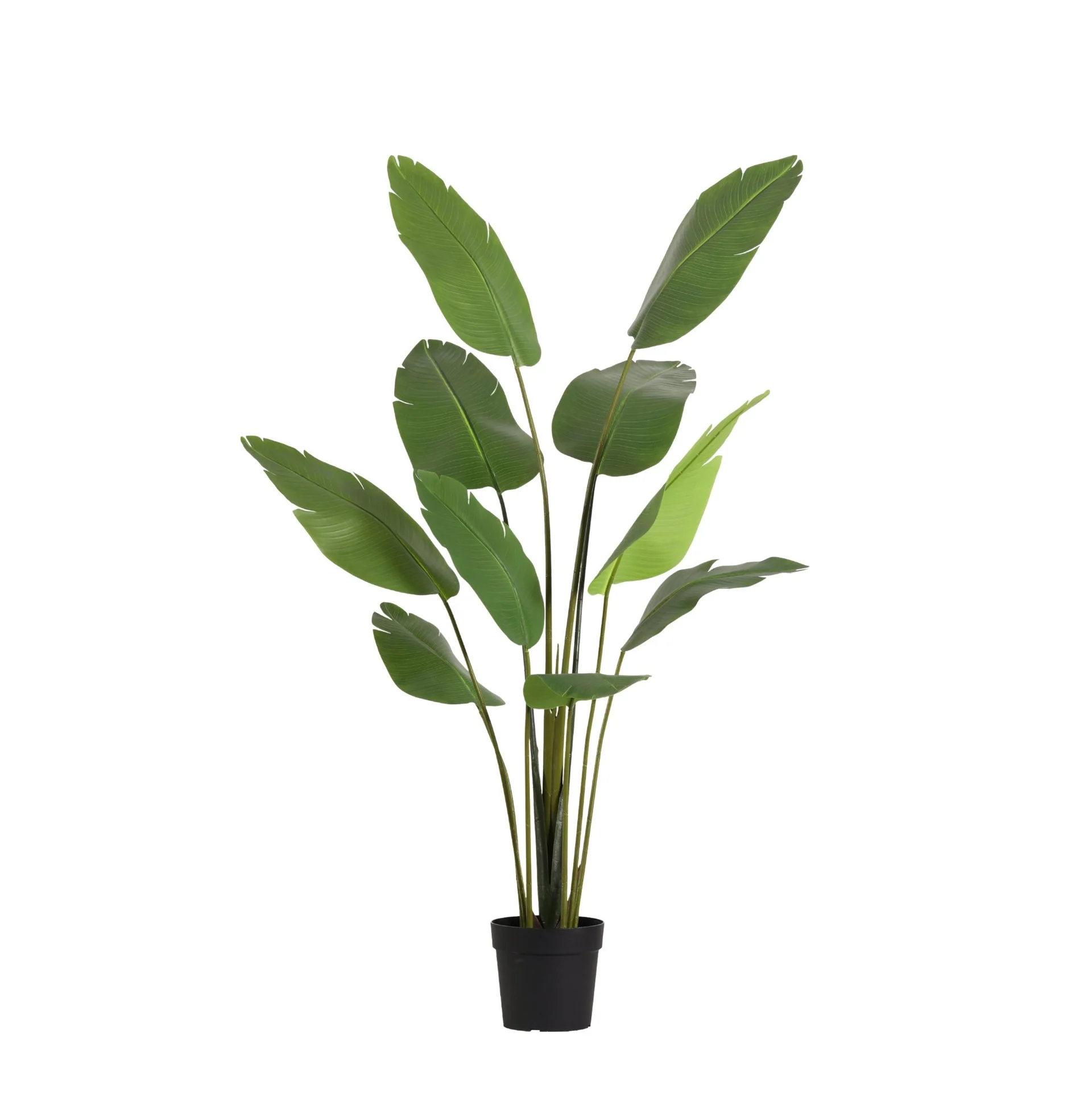 Artificial Strelitzia Nicolai Plant
