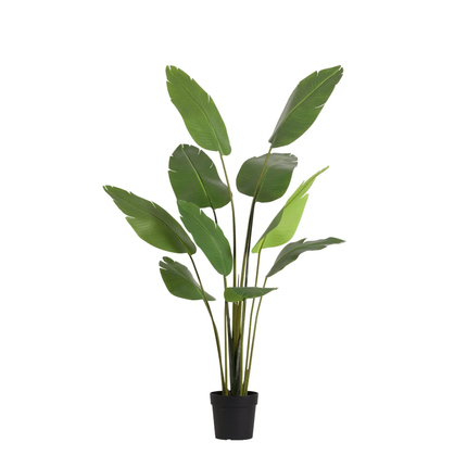 Planta artificial Strelitzia Nicolai - 180 cm