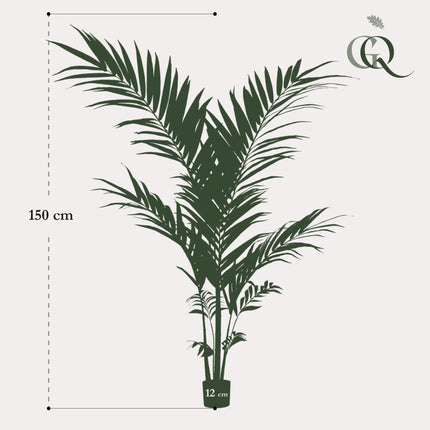 Kunstplant - Kentia -Kentiapalm - ↕ 150cm