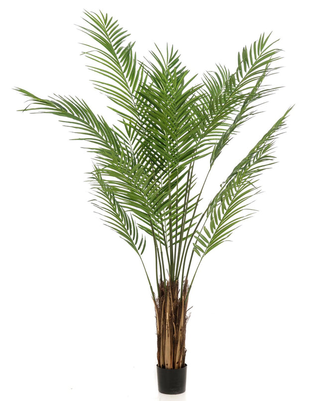 Kunstplant - Areca Lutescens - Goudpalm - ↕ 180 cm