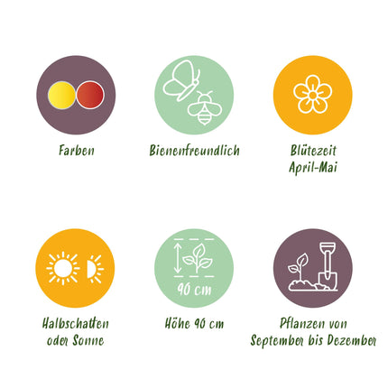 Bloembollen - Fritillaria Imperialis Mix - Kleur Geel en Oranje - 3 stuks - Bolmaat 18/20 - XXL Pack