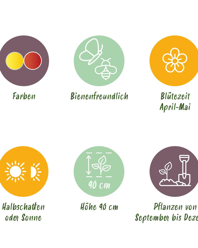 Bloembollen - Fritillaria Imperialis Mix - Kleur Geel en Oranje - 3 stuks - Bolmaat 18/20 - XXL Pack