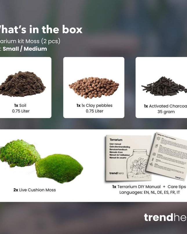 Planten terrarium - Navulling & startpakket - Maat S/M - DIY