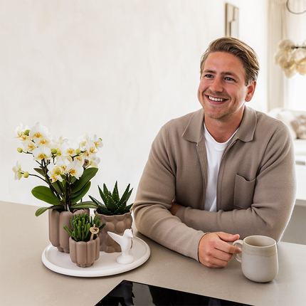 Kolibri Orchids | Coffret Cadeau Slow Living | Plantes vertes avec orchidée Phalaenopsis blanche Lausanne en pots décoratifs en céramique beige sur plateau blanc