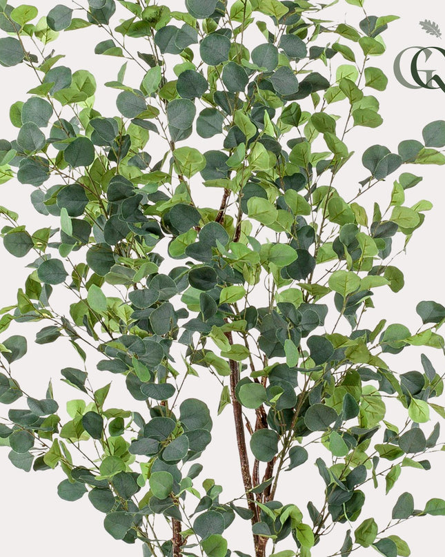 Kunstplant - Eucalyptus - Blauwe Gomboom  - ↕ 180 cm