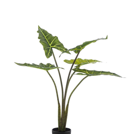 Kunstplant - Alocasia Frydek - Olifantsoor - ↕ 80 cm