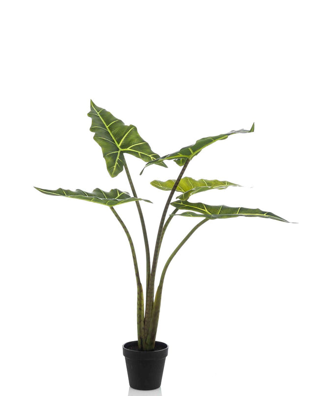Kunstplant - Alocasia Frydek - Olifantsoor - ↕ 80 cm