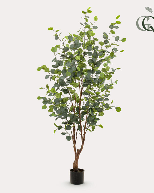 Kunstplant - Eucalyptus - Blauwe Gomboom  - ↕ 140 cm