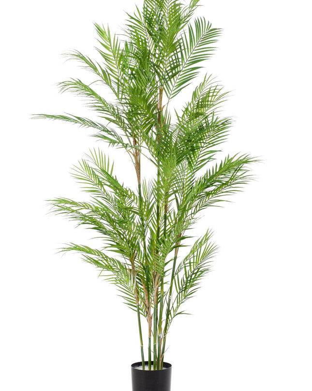 Kunstplant - Chamaedorea Elegans - Bergpalm - ↕ 180 cm
