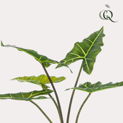Kunstplant - Alocasia Frydek - Olifantsoor - ↕ 80 cm