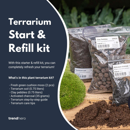 Planten terrarium - Navulling & startpakket - Maat S/M - DIY