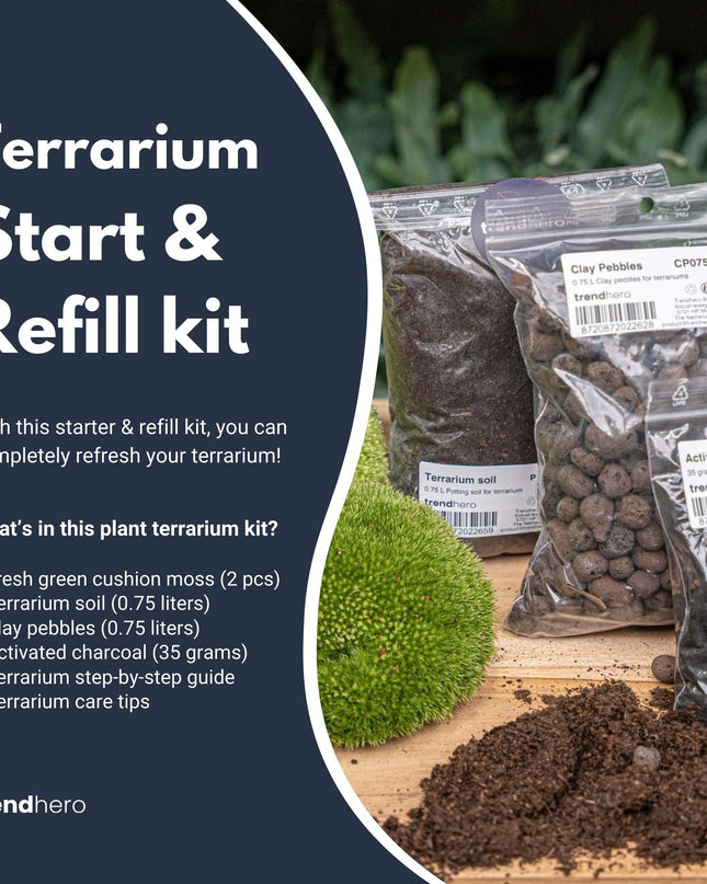 Planten terrarium - Navulling & startpakket - Maat S/M - DIY