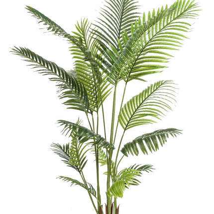 Kunstplant - Howea Forsteriana  - ↕ 160 cm