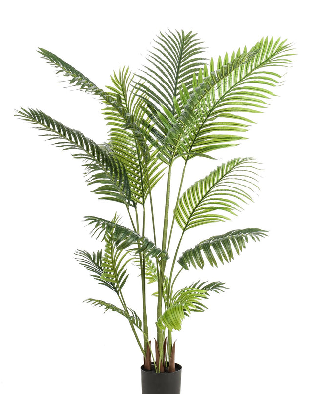 Kunstplant - Howea Forsteriana  - ↕ 160 cm