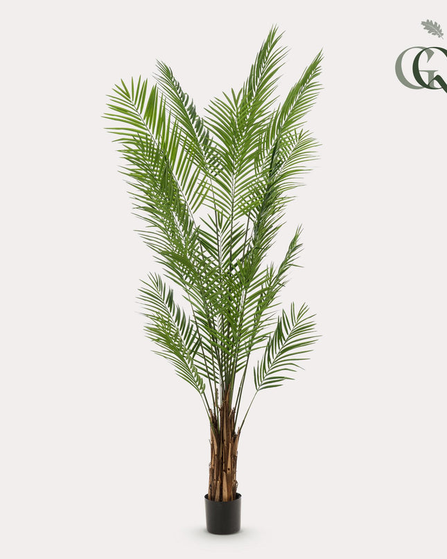 Kunstplant - Areca Lutescens - Goudpalm - ↕ 240cm