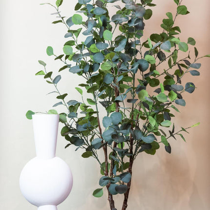 Kunstplant - Eucalyptus - Blauwe Gomboom  - ↕ 180 cm