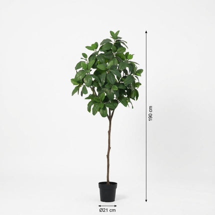 Planta artificial Magnolia - 190cm