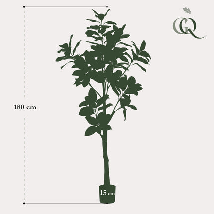 Kunstplant - Magnolia Grandiflora - ↕ 180 cm