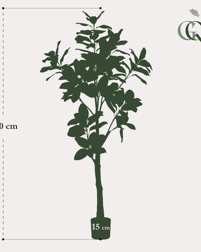 Kunstplant - Magnolia Grandiflora - ↕ 180 cm