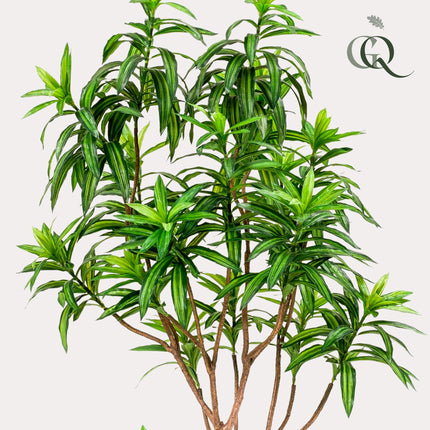 Kunstplant - Dracaena - Drakenboom - ↕ 190 cm
