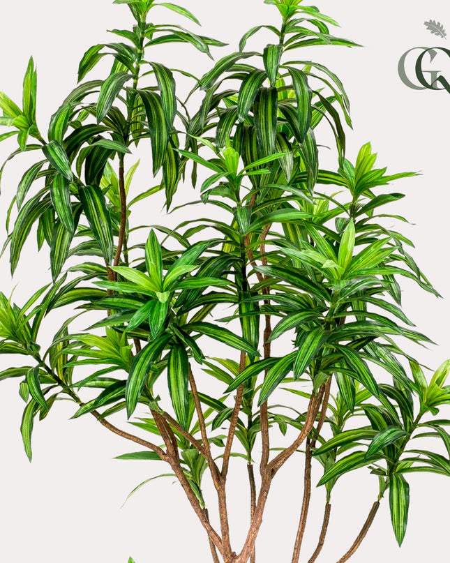Kunstplant - Dracaena - Drakenboom - ↕ 190 cm