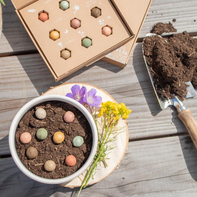 Bloembommetjes - Brievenbuscadeau