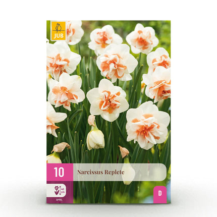 Bloembollen - Narcis Replete - Kleur Wit en Oranje - 10 stuks - Bolmaat 10/12 - XXL Pack