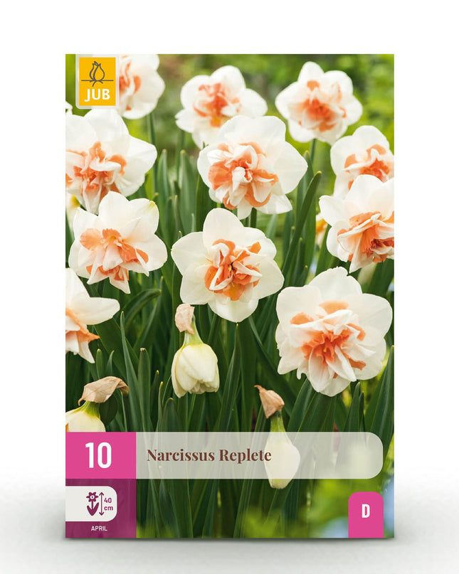 Bloembollen - Narcis Replete - Kleur Wit en Oranje - 10 stuks - Bolmaat 10/12 - XXL Pack