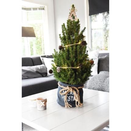 Kleine Kerstboom in Xmas Bag blauw + Pine cone lichtjes incl. batterijen- 70 cm - Picea Glauca Conica -